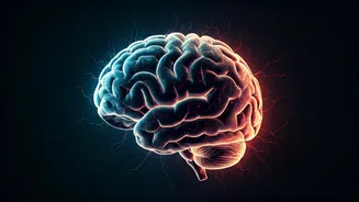 Feeling Energized Despite Sleep? Exploring the Phenomenon