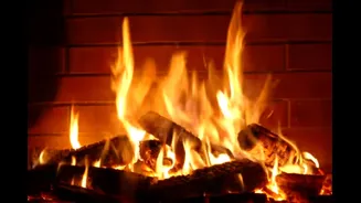 Fireplace For 10 Hours: Did This YouTube Channel Earn Rs 9 Crore With One Video?