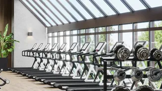 Why High-Intensity Workouts Aren't Always Best: Zone-2 Cardio For Desk Workers