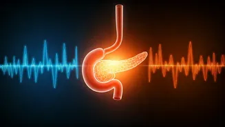 Related Stories banner