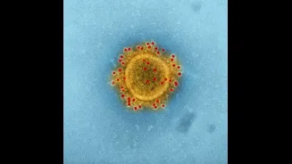 Wayanad's Shigella outbreak isn't done — Kerala schools just got fresh alerts
