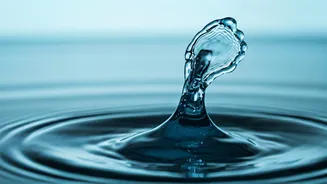 Water Calisthenics Builds Superior Functional Joint Power Safely