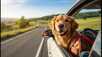 Road Trips With Dogs Need Breaks, Food Plans And Vet Prep