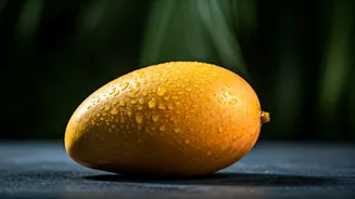 Delhi's Legendary Mango Fest Is Breaking Social Media Feeds