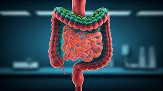 Gut Health Is Moving Beyond Imported Wellness Trends