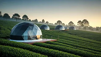 Misty Geodesic Pods Tucked Inside Tea Gardens Redefine Modern Glamping