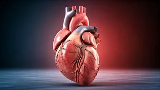 Heart Health Alert: Daily Habits That Threaten Your Well-being