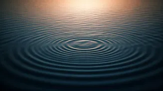 Related Stories banner