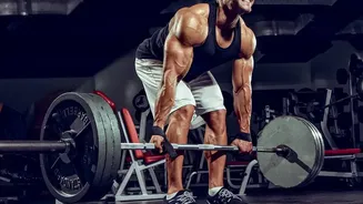 Why Lifting Weights Elevates Daily Basal Metabolic Rates Supporting Lifelong Vitality
