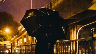 Monsoon Commute Tips For Mumbai: How To Check Conditions Before Travelling