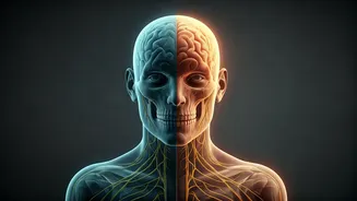 The 35 Threshold: A Doctor's Guide to Navigating Mid-Life's Wake-Up Call