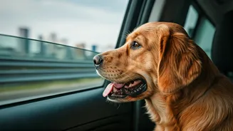 Pet-Friendly Breaks Are Winning Urban Families Fast