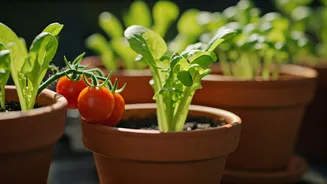 Related Stories banner