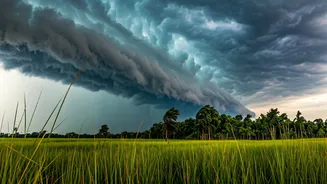 Kolkata & North Bengal Brace for Nor'westers: Orange Alert Issued, Temperatures to Drop