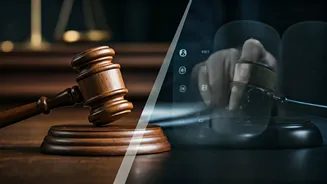 Matrimonial Site Scam: Court Denies Role in Rs 11 Lakh Recovery, Grants Bail