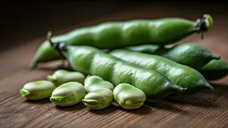 Fava Beans Are India’s Sleeper-Hit Plant Protein
