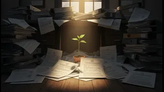 Small Firms Need Cleaner Appeal Paperwork Now