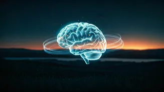 Unlock a Healthier Brain: The 7-8 Hour Sleep Sweet Spot for Dementia Prevention