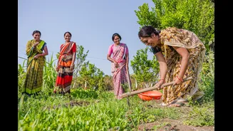 Understanding Rainwater Harvesting in India