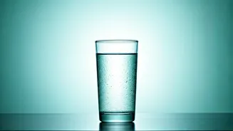 Unlocking Wellness: 7 Ways to Detox Your Mind!