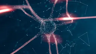 Global Coordination Is Becoming A Bigger Part Of The AI Safety Debate Keeps The Focus On Real-World Use