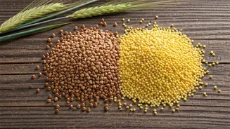 Better-For-You Grains Are Back In Focus