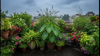 Create A Cooler Rooftop Retreat With Monsoon-Friendly Terrace Planting Ideas