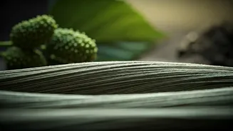 The Unseen 'Terroir' of Silk: Why Your Sarees Feel So Different