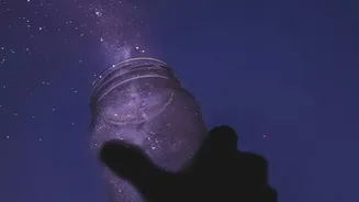 What Indian Stargazers Should Know Before August Skywatching Ends