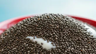 Chia Seeds: A Gut-Health Champion
