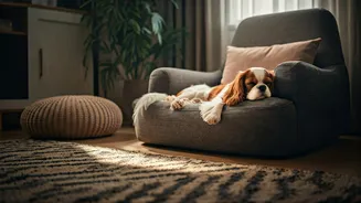 Related Stories banner