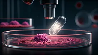 Vitamin B3 Alert: Could Your Supplement Hinder Cancer Treatment?