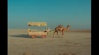 Rann Utsav: A Cultural Extravaganza in Gujarat's White Desert
