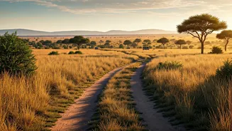 Safari Planning Starts With This Difference