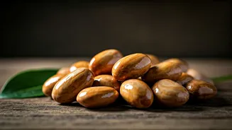 Jackfruit Seeds Are The Zero-Waste Kitchen Hero