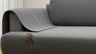 These Waterproof Sofa Covers Save Furniture From Wet Muddy Paws