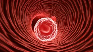 Space's Silent Threat: Unraveling the Hidden Blood Clot Risk for Astronauts