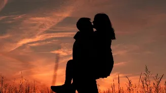 What is pebbling? Know this penguin-inspired dating trend is changing how love works