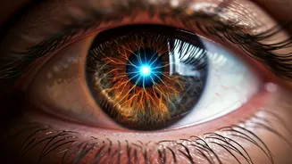 Unveiling Intentions: 10 Subtle Psychological Behaviors