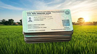 NREGA Job Cards: Ensuring Validity During the VB G Ram G Transition