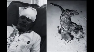 Elderly Man Kills Leopard With Spear, Sickle To Save Son From Attack In Gujarat's Gir Somnath