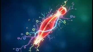 Consistency, Muscle Metabolism And Ageing Could Decide Whether Exercise-Trained Muscle And Molecular Ageing Succeeds