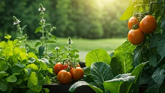 Your Terrace Veggie Patch Is Formally Part Of National Green