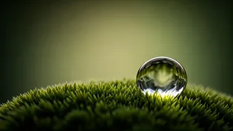 Taurus Daily Horoscope: March 20, 2026 - The Power of Silence in Interactions