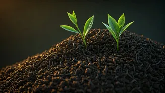 Tea Leaves Make Home Compost Smell Like Sense