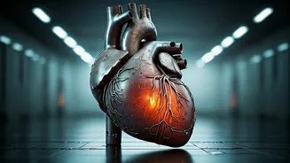 Silent Heart Attack: Hidden Signs & Prevention Strategies