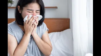Delhi-NCR Sees Rise In Swine Flu, Other Respiratory Infections Amid Monsoon