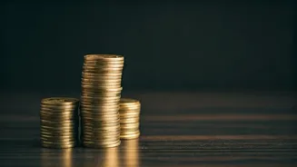 Indian Businesses Report Key Financial Results