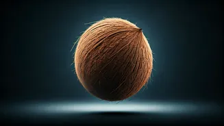 Why Your Coconut Might Not Board the Plane: Understanding Flight Restrictions