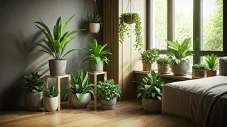 Indoor Gardening Can Start With One Corner